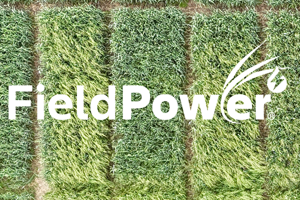 FieldPower logo på billede af ukrudtsparceller